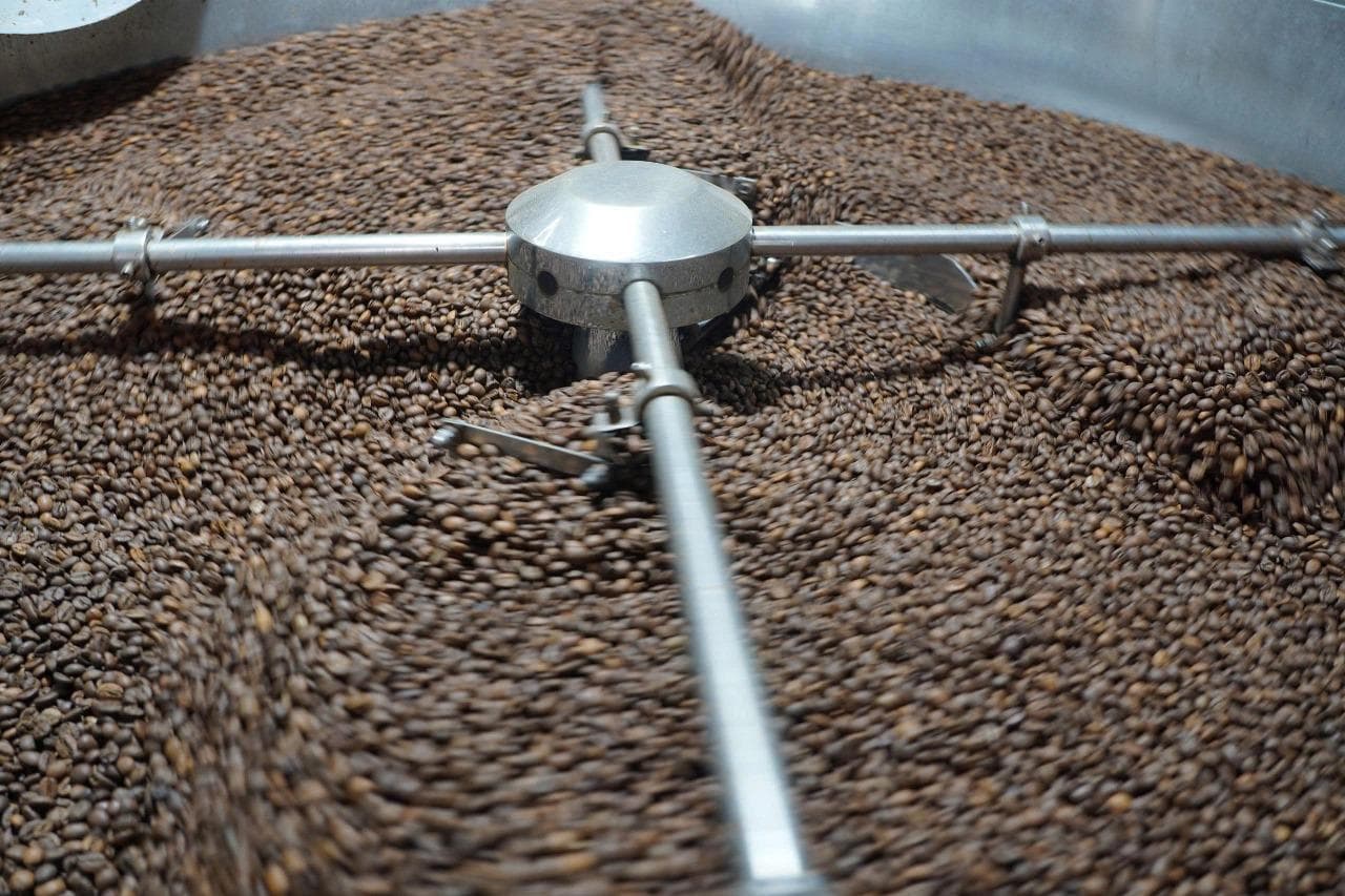 Freshly roasted coffee beans in the cooling drum