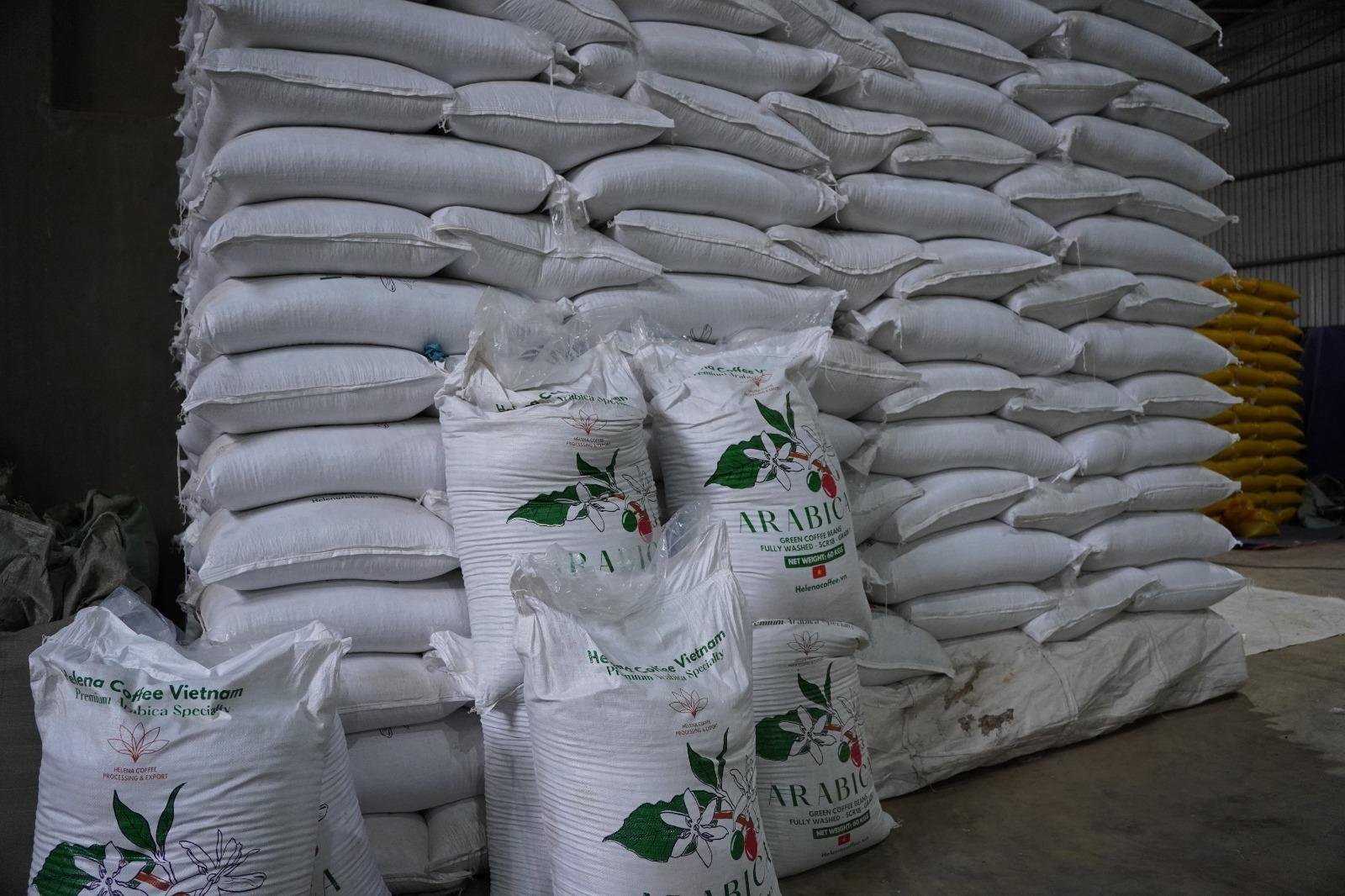 Robusta vs. Arabica: What's the Difference?